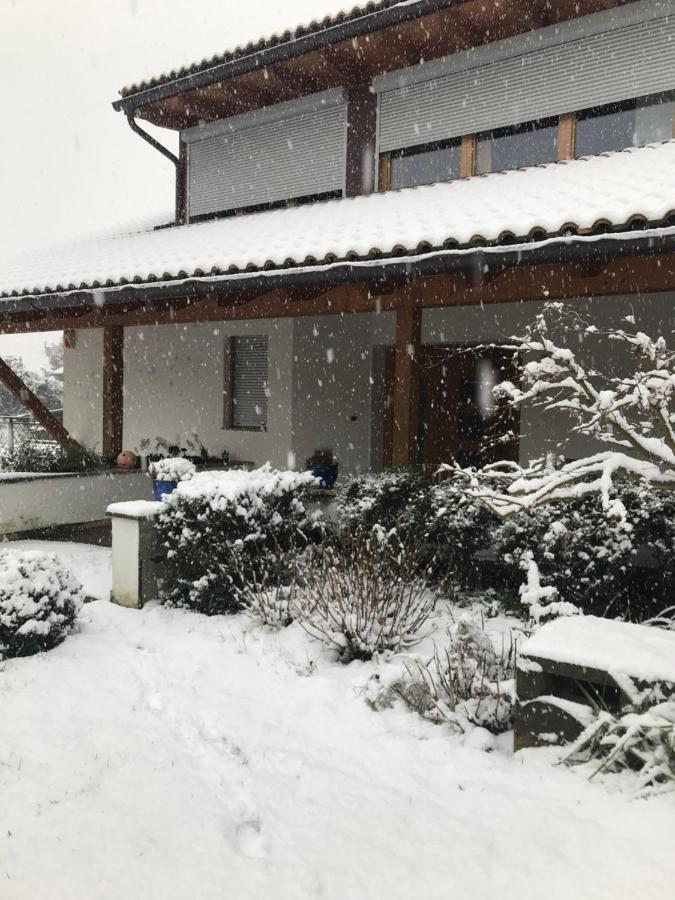 Magre all' AdigeHaus Gretiアパートメント エクステリア 写真